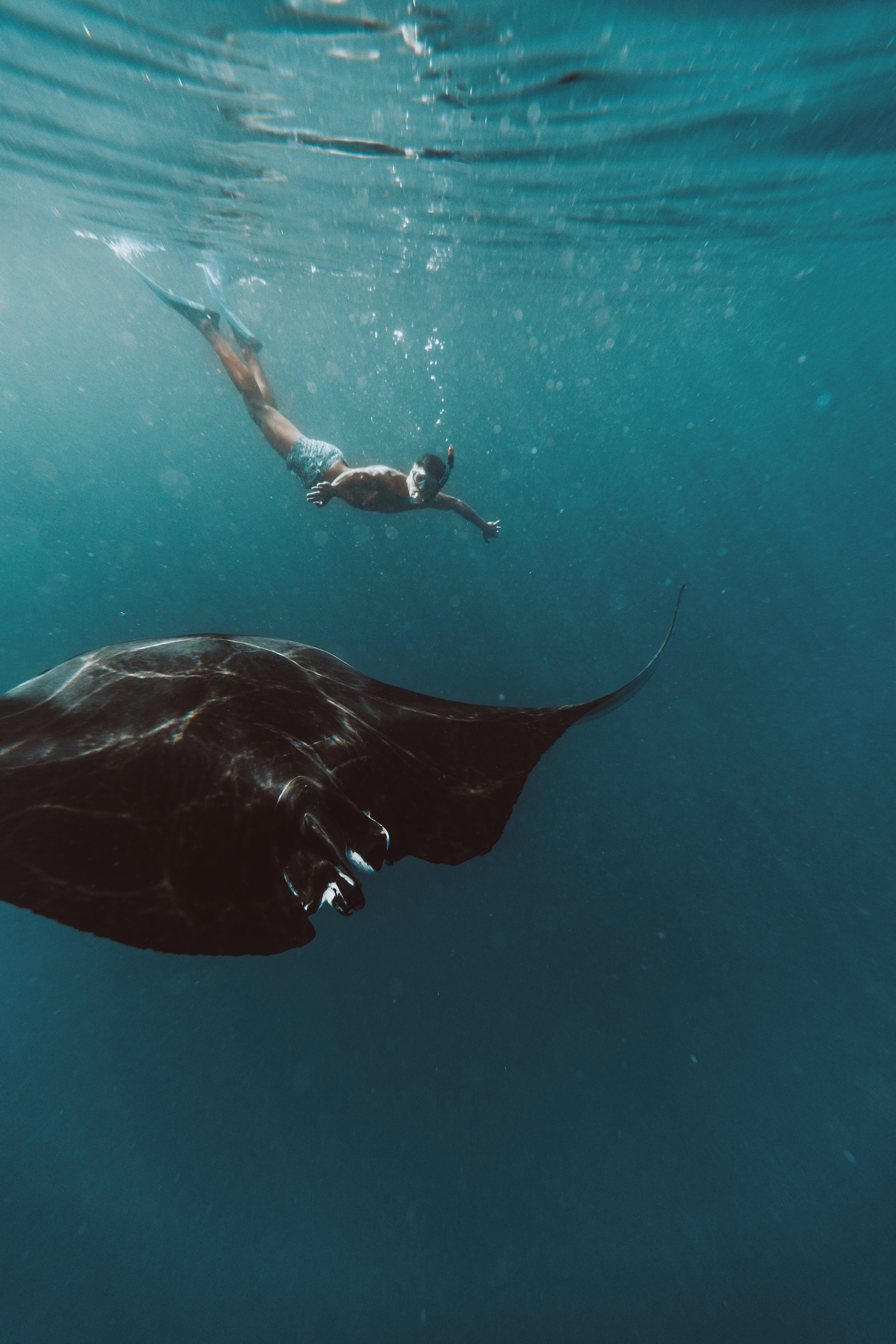 SonevaFushi-SnorkellingwithMantasatHanifaruBay